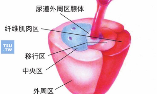 猪泡对猪的作用与功效网- 猪泡怎么做好吃知识,分享猪泡是什么